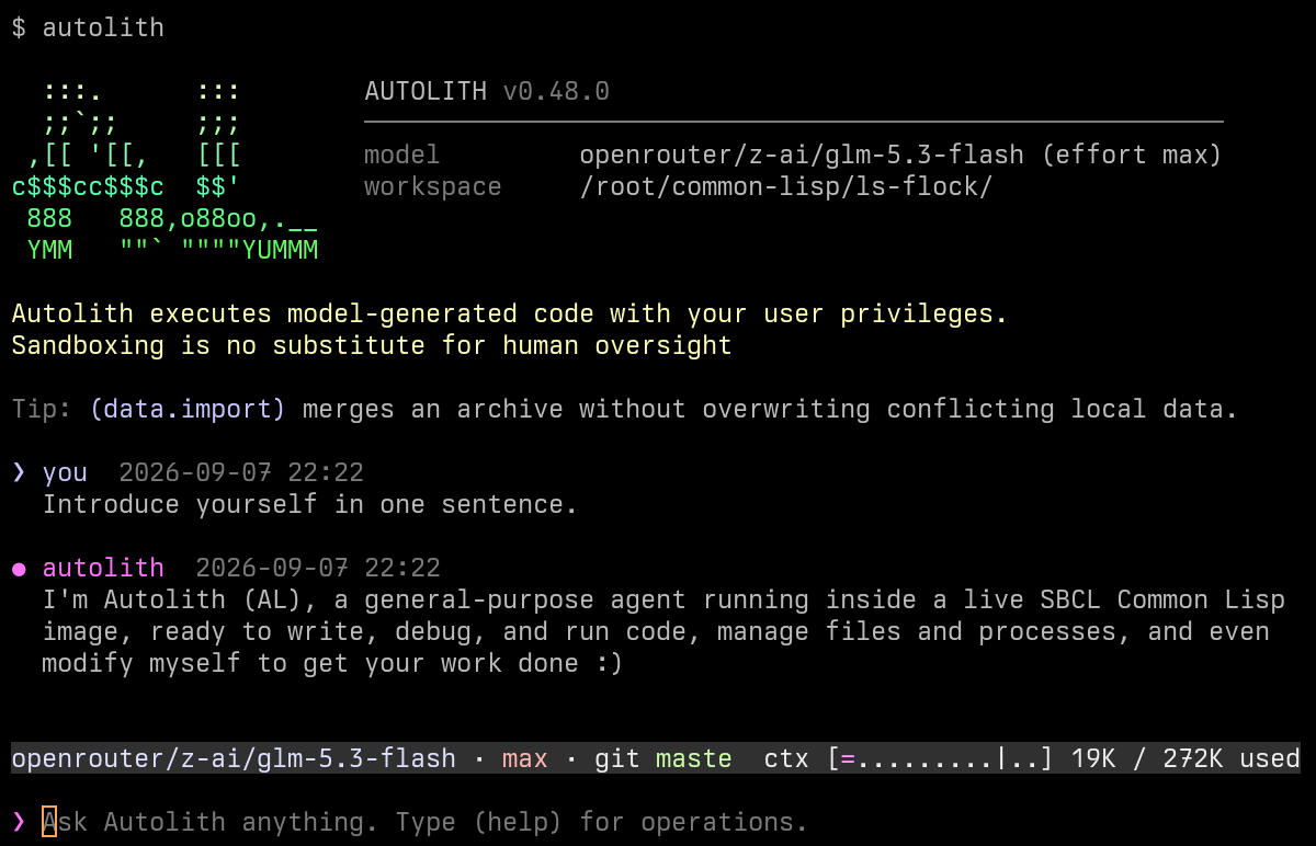 Autolith just launched in a project: the startup banner with model and workspace, a prompt asking it to introduce itself, and its one-sentence reply above the status line and prompt